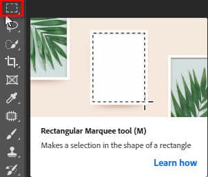 Rectangular Tool photoshop