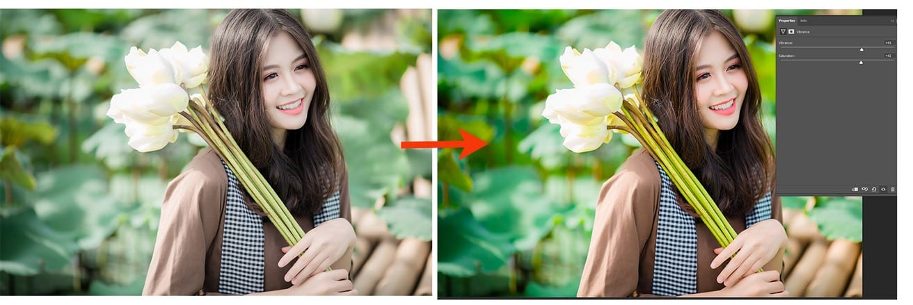 Kết quả của việc chỉnh màu trong Photoshop