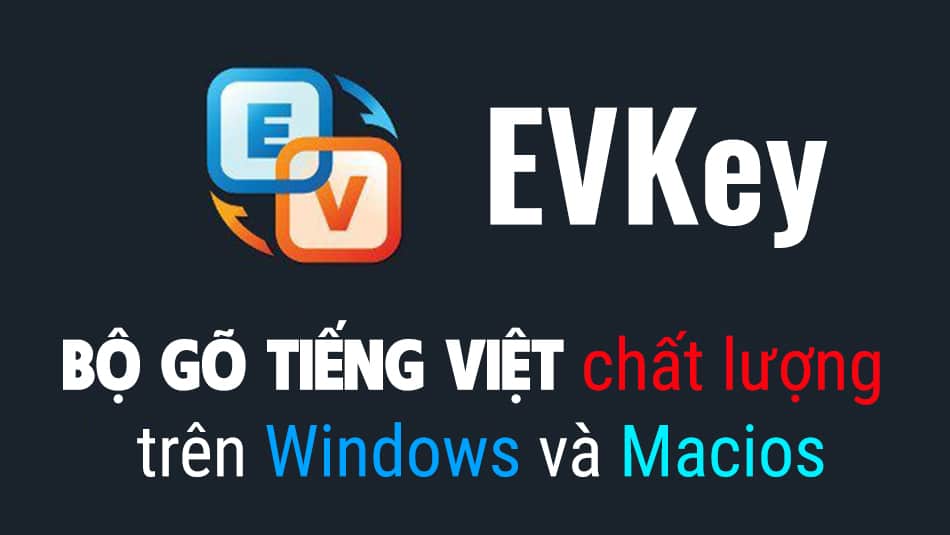 Vietnamese bo go evkey