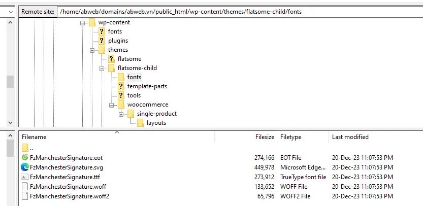 Cách thêm font chữ vào wordpress