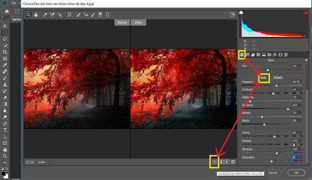 HOW TO camera Raw trong photoshop